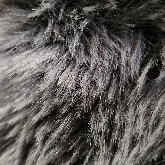 Meet your Posher, eeSongbird - Picture 1 of 2